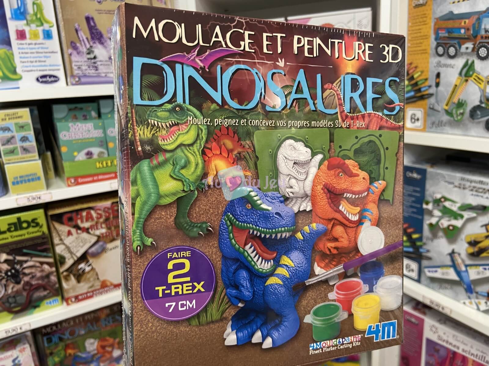 Kit De Moulage Dinosaures 3D 4M