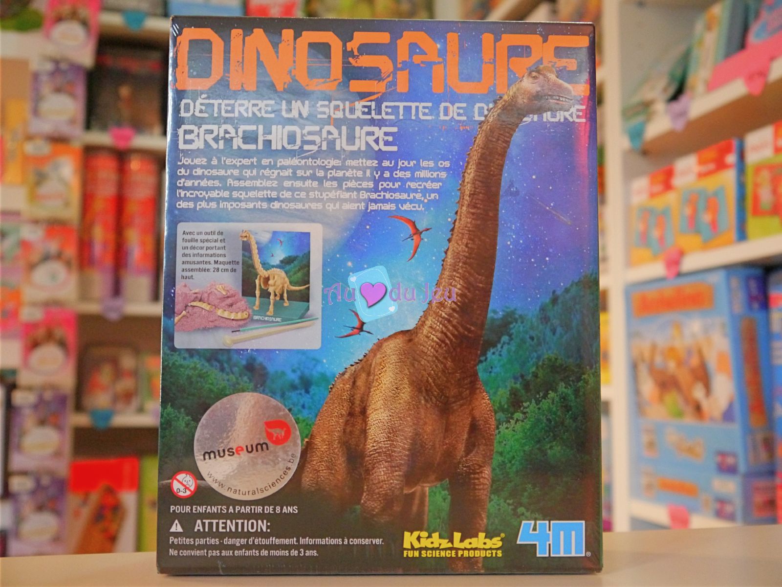 Kit Dinosaure Brachiosaure 4M