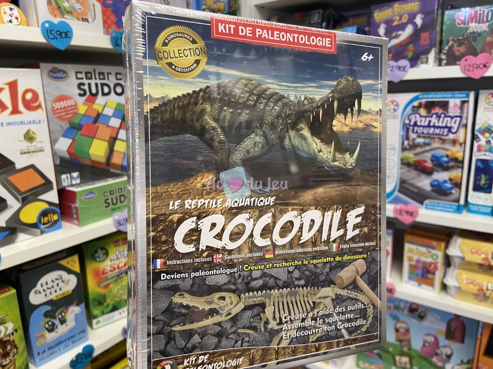 Kit Paleo Crocodile