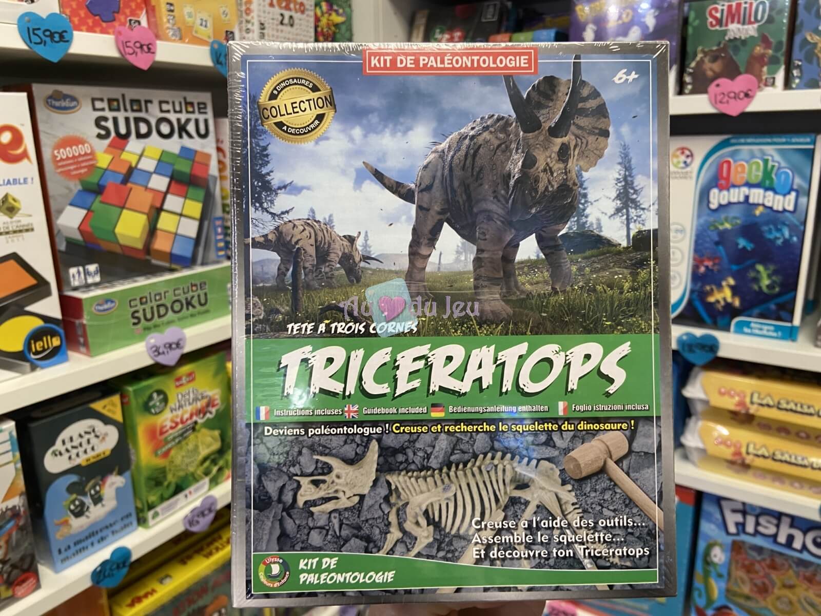 Kit Paleo Triceratops