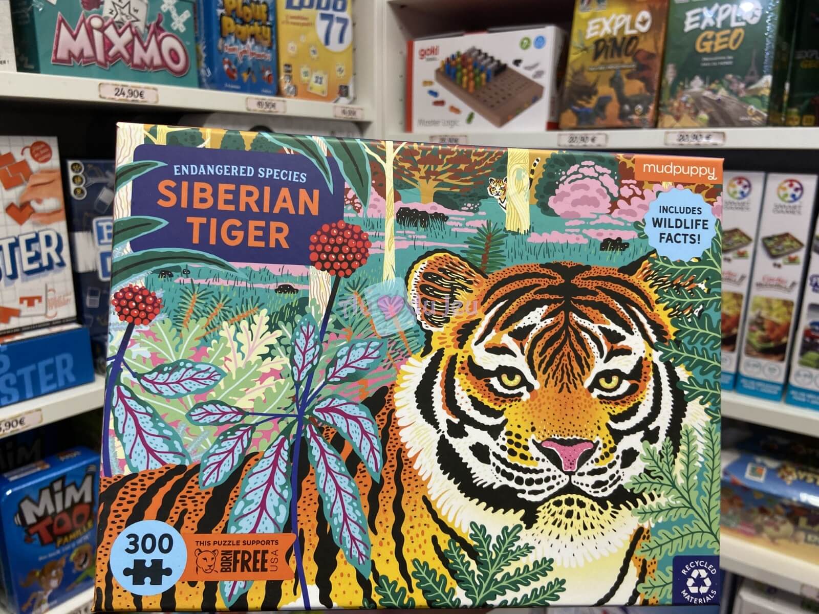 Puzzle 300 Pièces Tigre