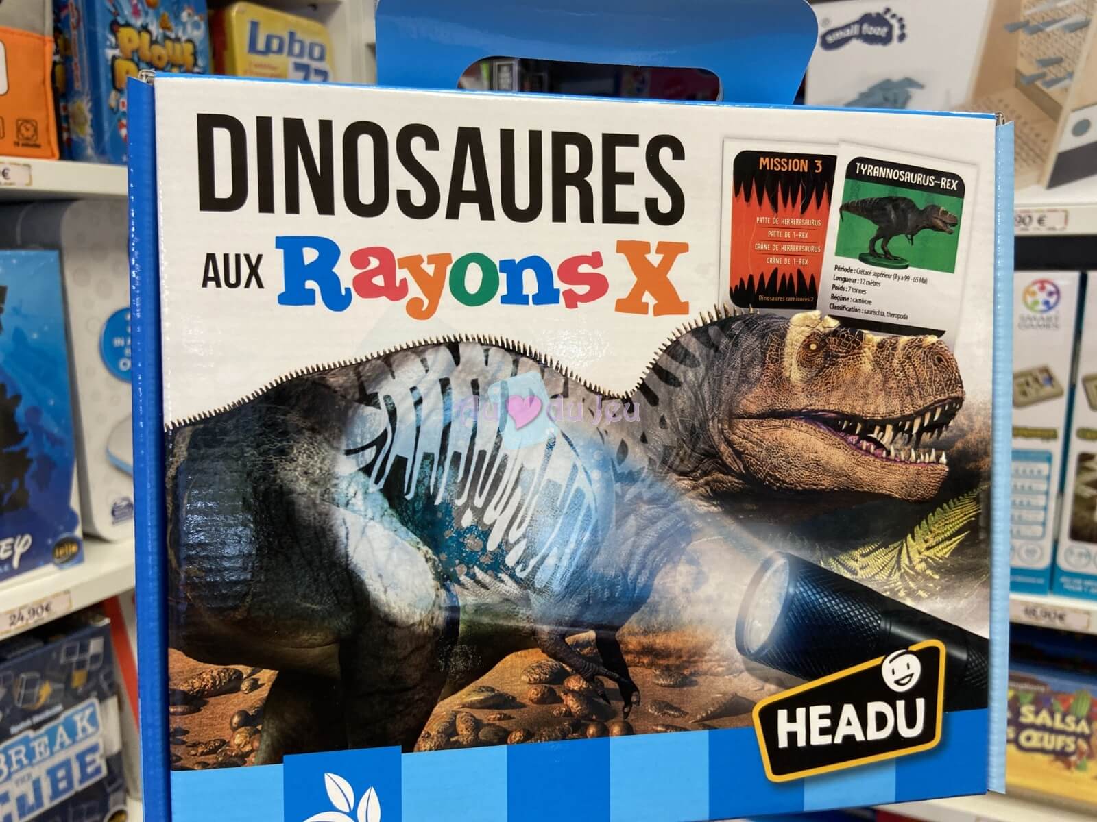 Dinosaures Aux Rayons X Headu