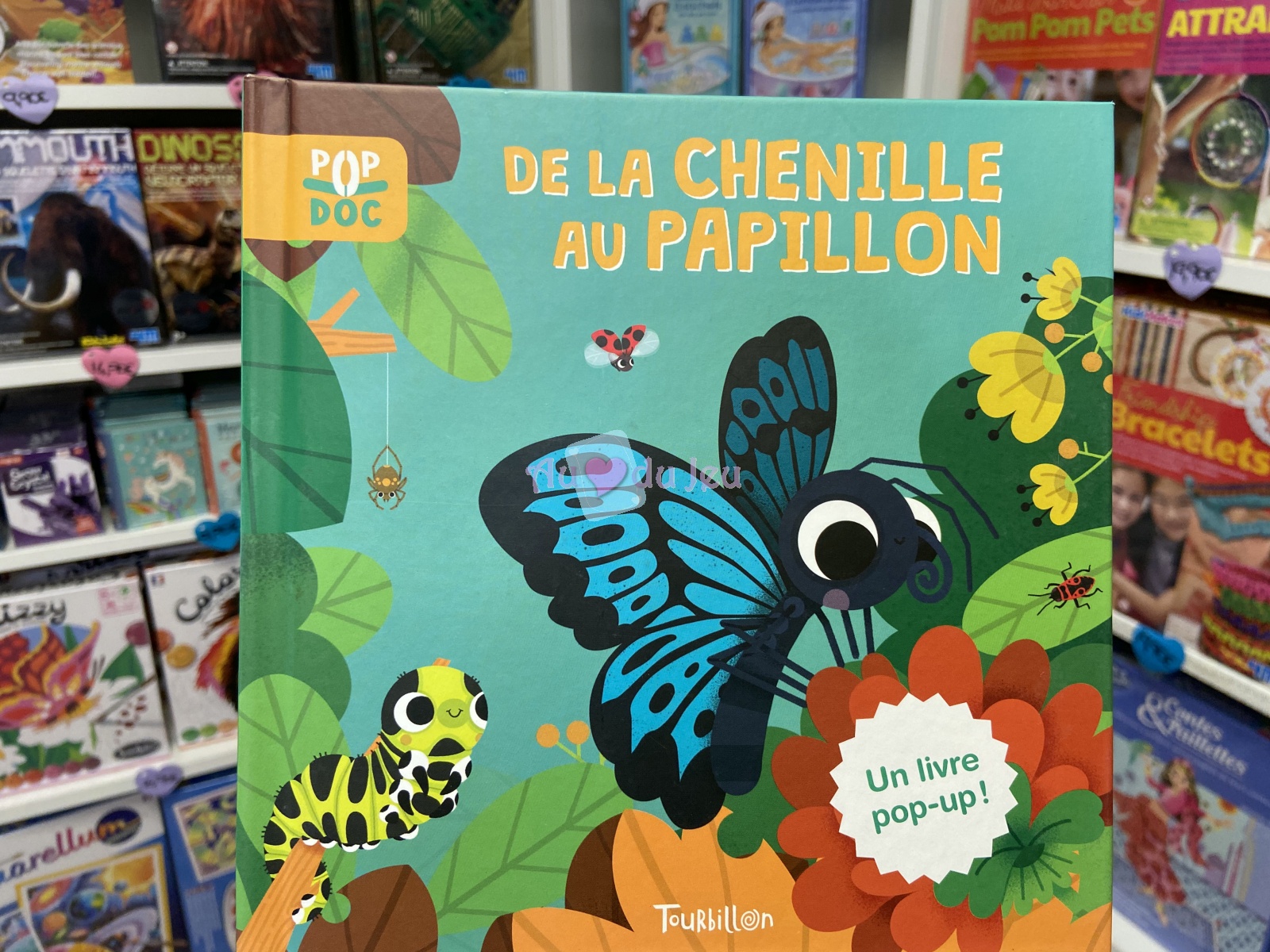 Pop Doc - de la Chenille Au Papillon Editions Tourbillon