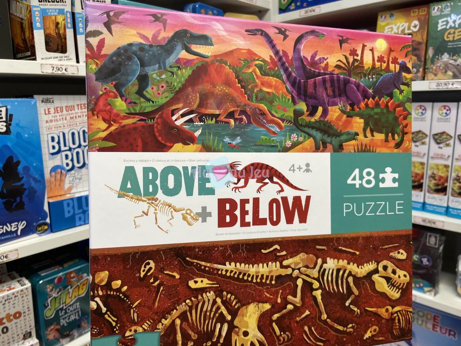 Puzzle 48 Pièces Contraires Dinosaures 