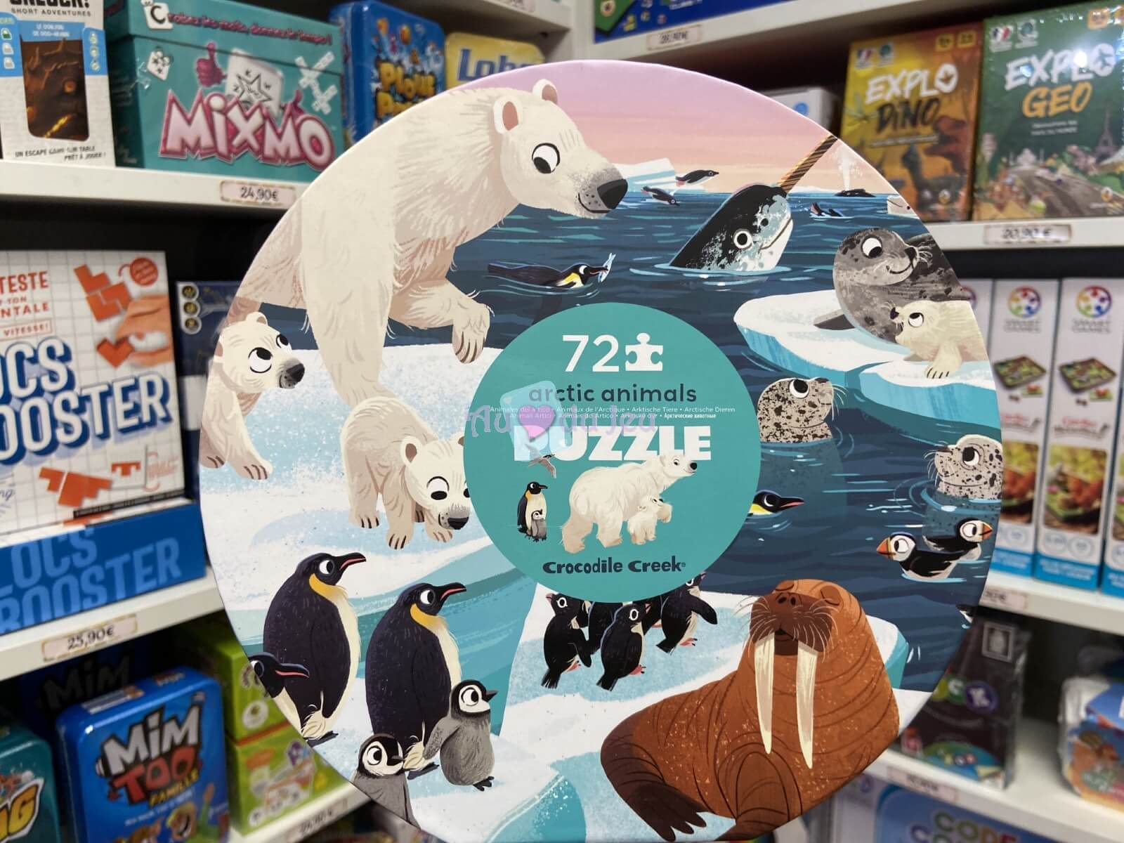 Puzzle 70 Pièces Artic 
