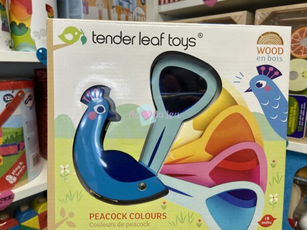 couleurs de paon 5772 1 Tender Leaf Toys
