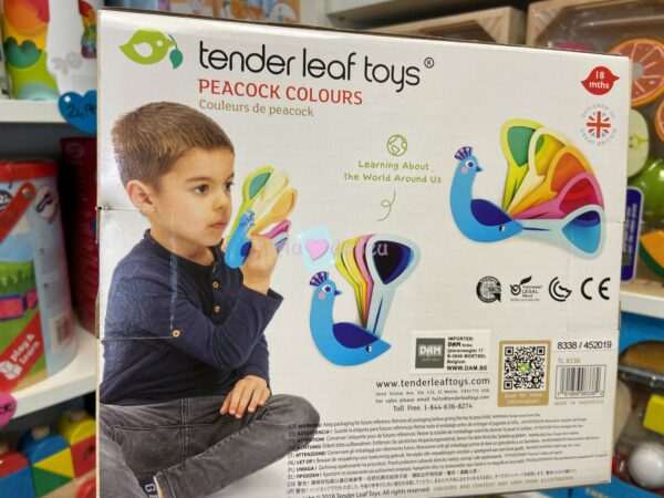couleurs de paon 5772 2 Tender Leaf Toys