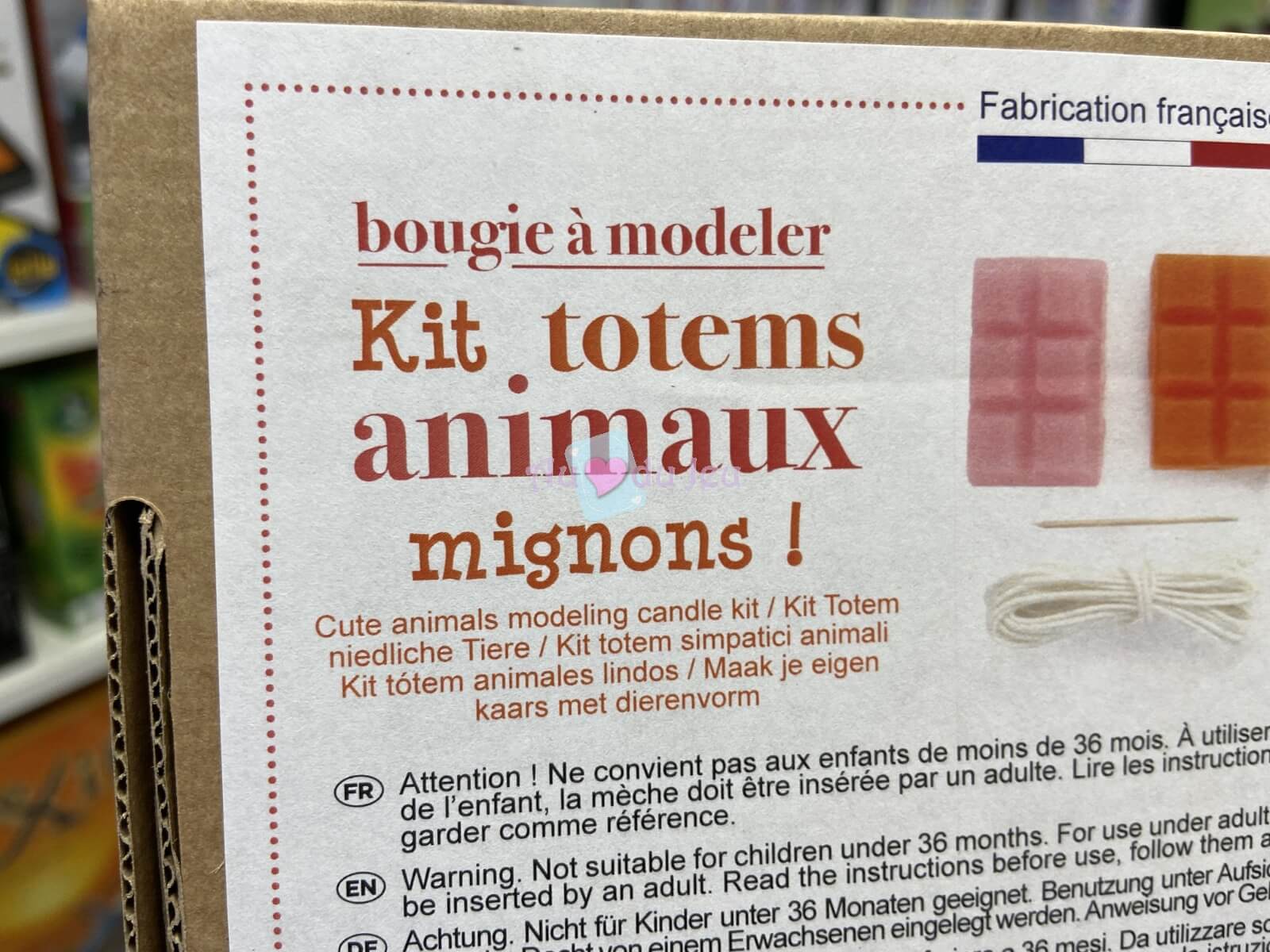 Kit Bougie à Modeler - Totem Animaux - Au Coeur du Jeu
