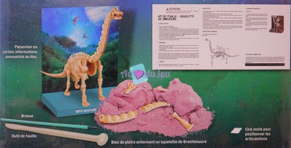 Kit Dinosaure Brachiosaure 4M
