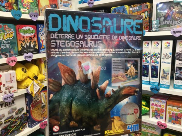 kit dinosaure stegosaurus 5039 1 4M