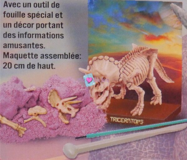 kit dinosaure triceratops 2422 3 4M